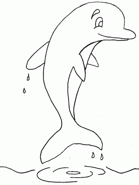 Dibujos de delfines para colorear e imprimir - Imagui