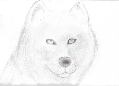 Dibujos =): Dibujos de Lobos