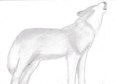 Dibujos =): Dibujos de Lobos