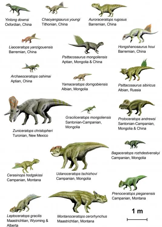 Dibujos de los dinosaurios con sus nombres - Imagui