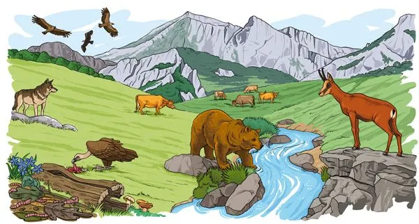 Dibujo sobre el ecosistema - Imagui