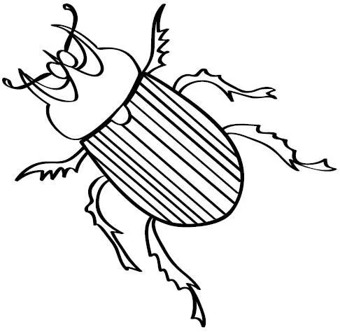 Dibujos de escarabajos - Imagui