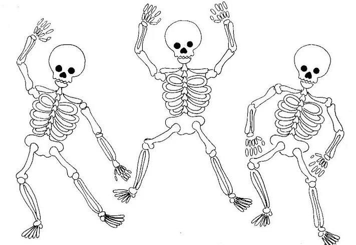 Dibujos de esqueletos humanos para pintar | Colorear imágenes