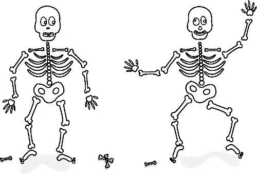 Dibujos De Esqueletos en Pinterest | Arte De Anatomía y Arte De La ...