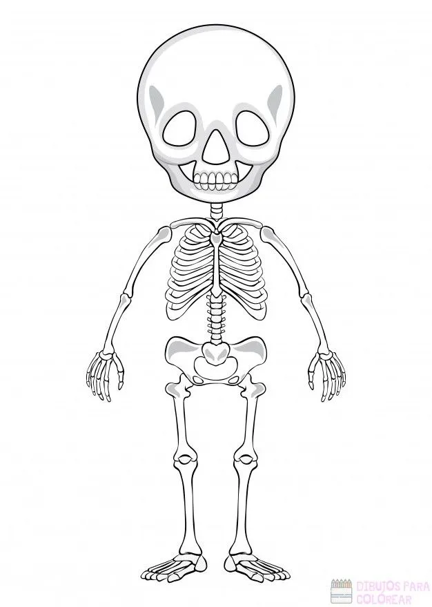 ᐈ Dibujos de Esqueletos【+1000】Para decorar Hoy – Dibujos para Colorear