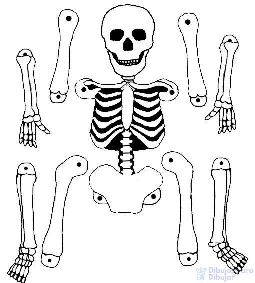ᐈ Dibujos de Esqueletos【+900】Lo mejor para Halloween – Dibujos Para Dibujar