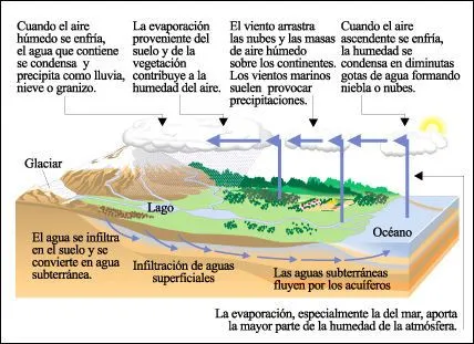 Imagen y explicacion del ciclo del agua - Imagui
