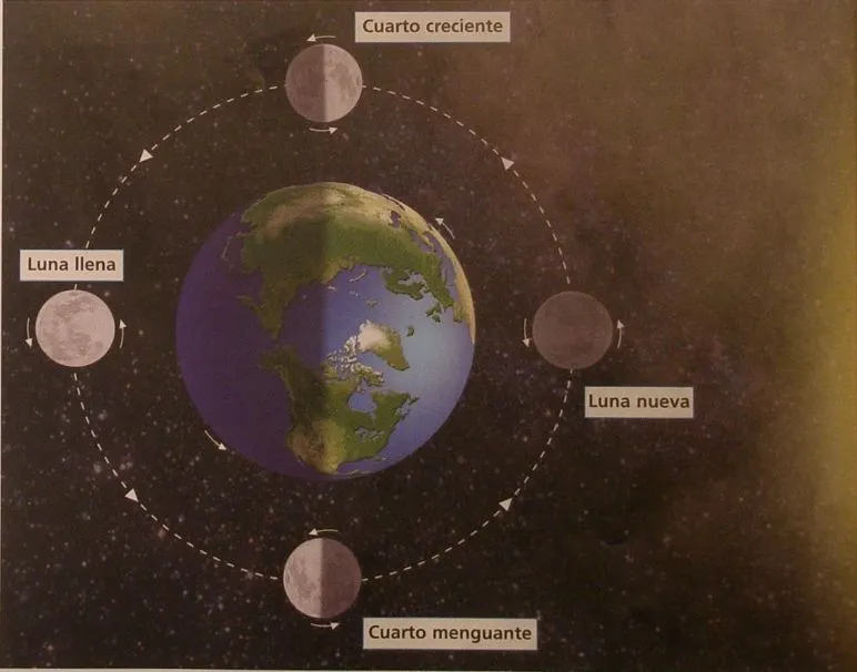 Explicacion de las fases de la luna para niños de primaria - Imagui