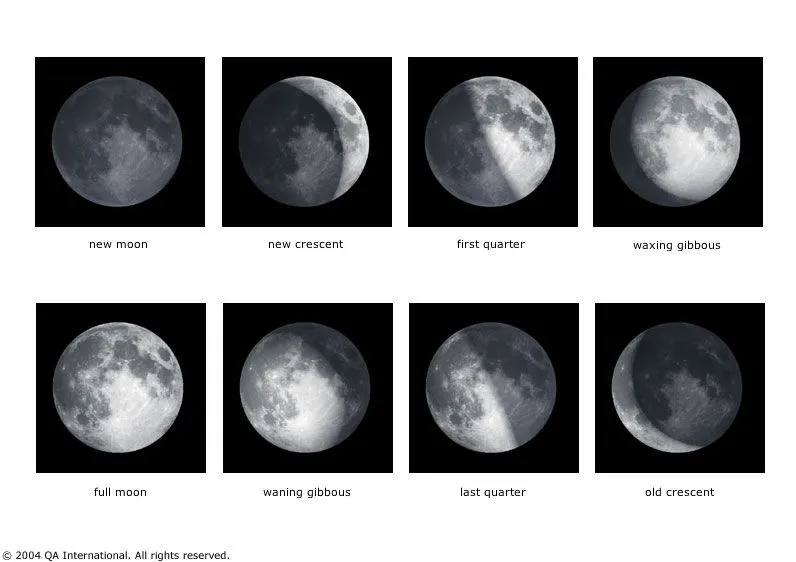 Dibujo de la luna y sus fases - Imagui