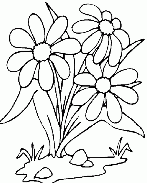 Dibujos de flores para colorear ~ Dibujos para Niños