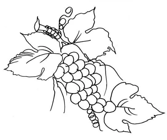 dibujos de flores y frutas para pintar en tela - Buscar con Google ...