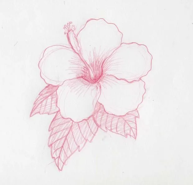 dibujos de flores a lapiz - Buscar con Google | imagenes creativas ...