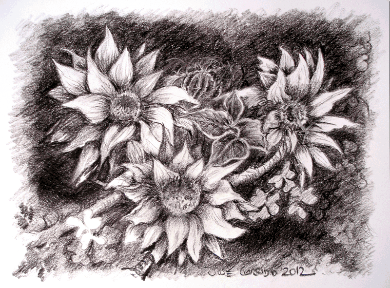 Dibujos de flores a lapiz - Imagui