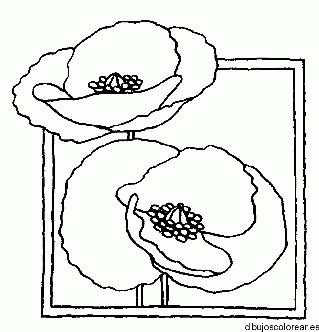 Dibujos de flores para cuadros - Imagui