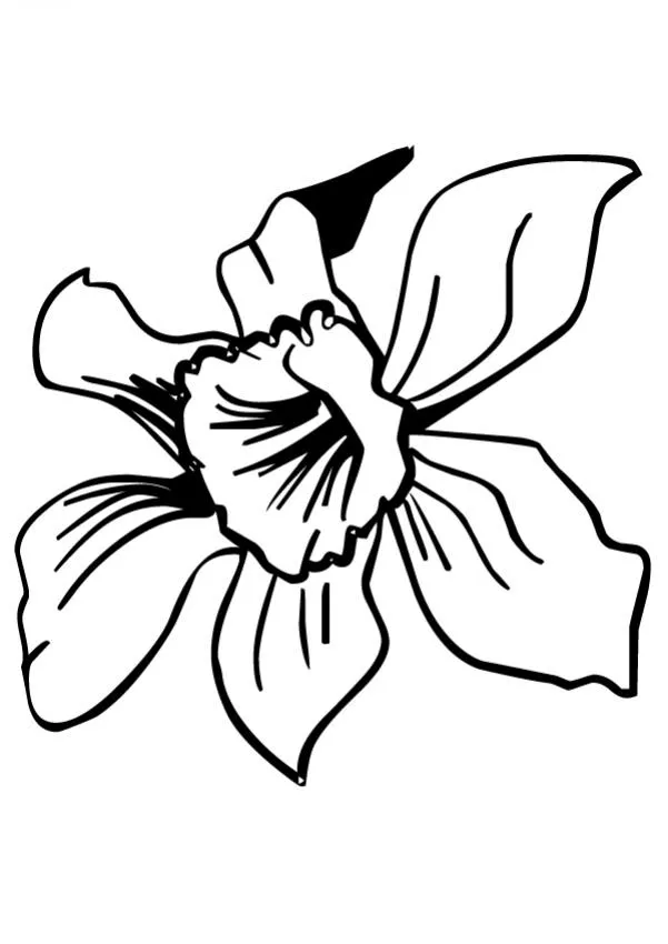 Dibujos de FLORES para pintar, Flor N°22 para imprimir Dibujos de FLORES para pintar, Flor N°22 para imprimir