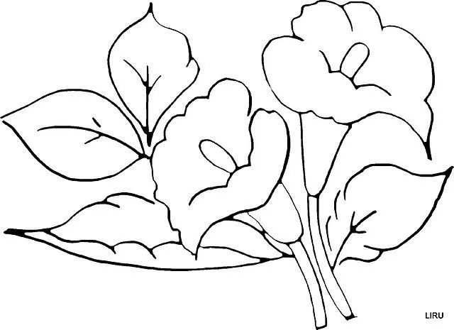 dibujos de flores para pintar en tela manteles - Buscar con Google ...