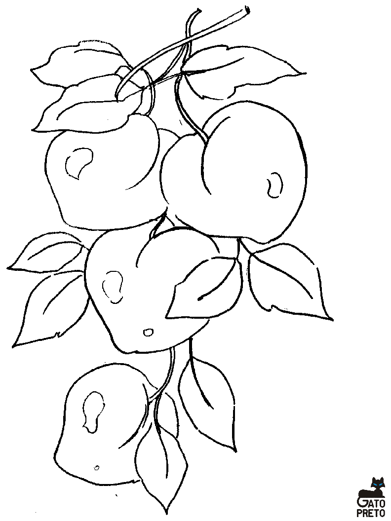 Dibujos de frutas y verduras para colorear - Dibujos para colorear ...