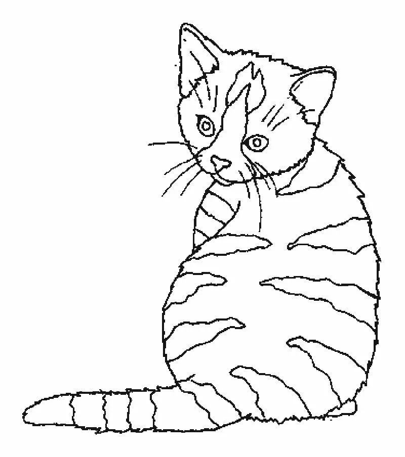 Dibujos de Gatitos para Colorear | Dibujos para Niños Dibujos de Gatitos para Colorear | Dibujos para Niños