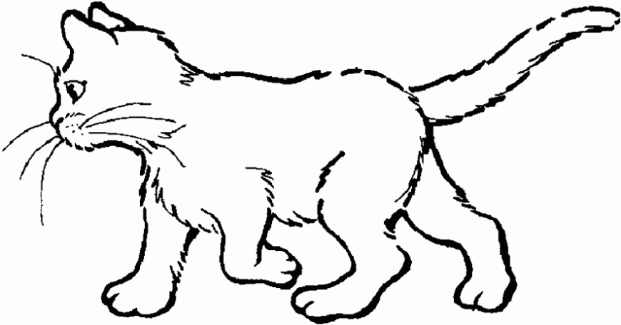  ... gato caminando | Dibujos de Gatos para Pintar | Dibujos para Colorear