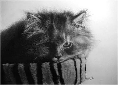 Dibujos hiperrealistas de gatos | LaReserva