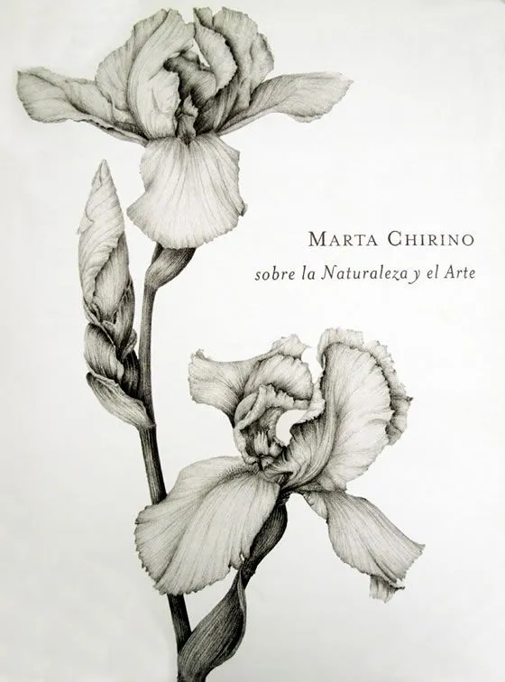 Dibujos y grabados de Marta Chirino | Revista de Flores, Plantas ...