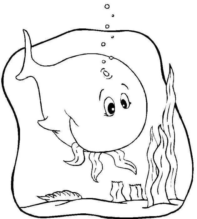 Dibujos gratis de animales de agua para colorear :: Dibujos ...