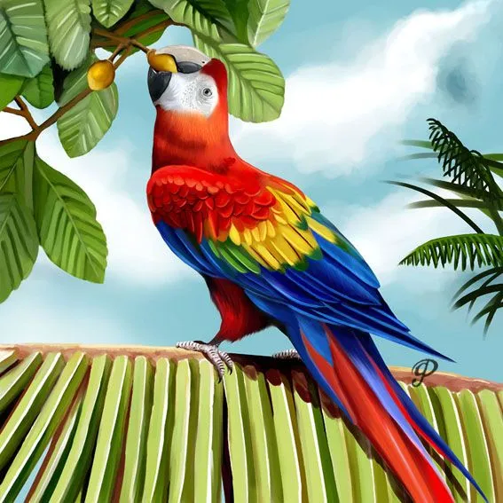 Dibujos de guacamayas rojas para pintar - Imagui Dibujos de guacamayas rojas para pintar - Imagui