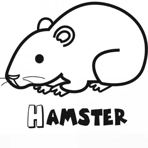 Imagenes de hamsters tiernos para colorear - Imagui
