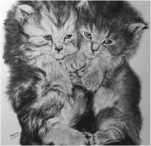 Dibujos hiperrealistas de gatos | LaReserva