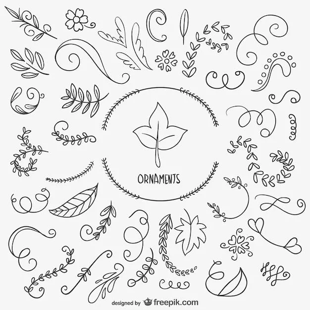 Dibujos de hojas y ornamentos | Descargar Vectores gratis