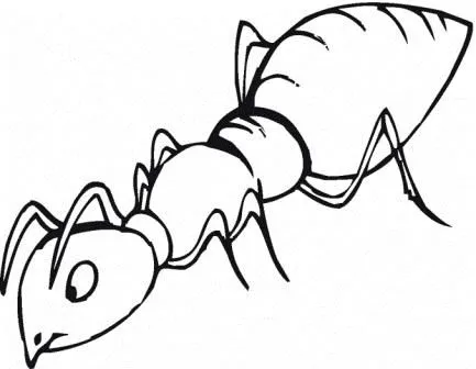 Dibujos de hormigas | HORMIGAPEDIA