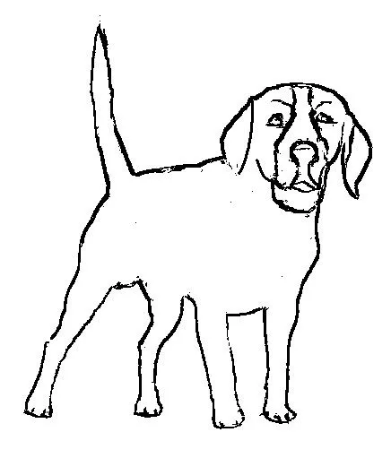 Dibujos e Imagenes - Easy coloring pages: Dibujos de animales para ...