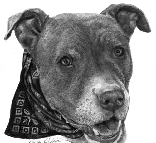 Dibujos impresionantes de perros | PaseaDogres
