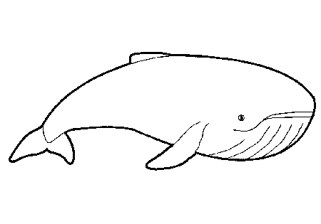 Dibujos para imprimir y colorear: Ballenas para colorear Dibujos para imprimir y colorear: Ballenas para colorear