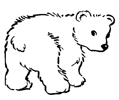 Imagenes • Dibujos para colorear de un oso