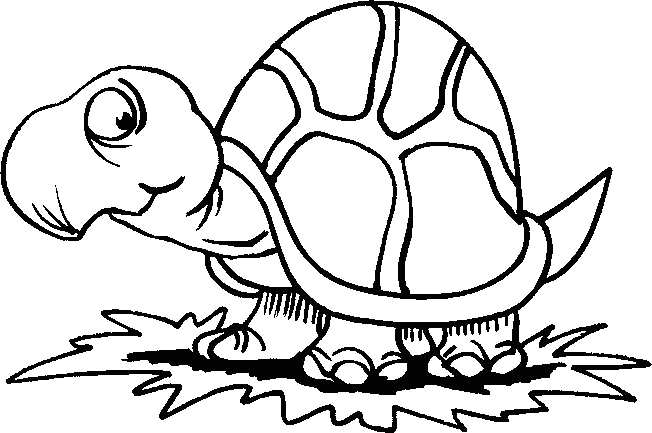 Imagenes de tortugas animadas con paisaje para colorear - Imagui