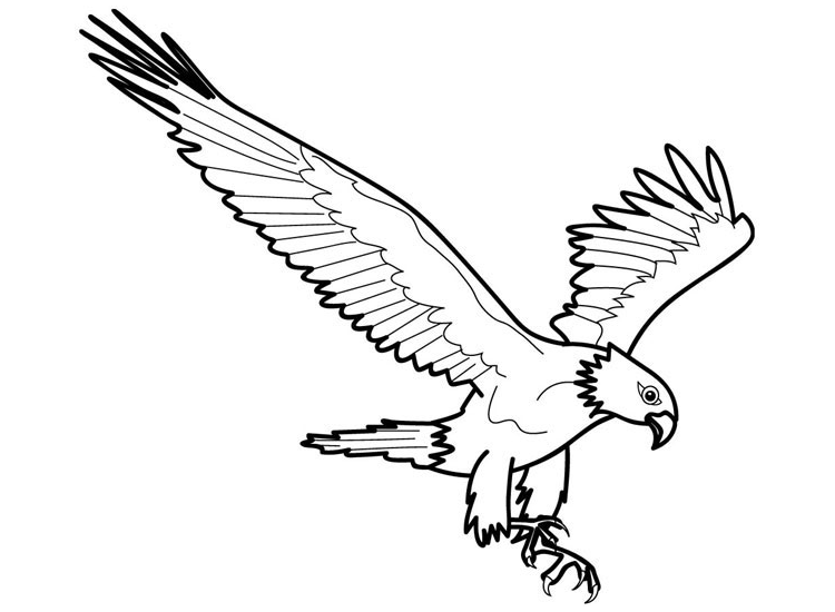 Dibujos infantiles de águilas para imprimir