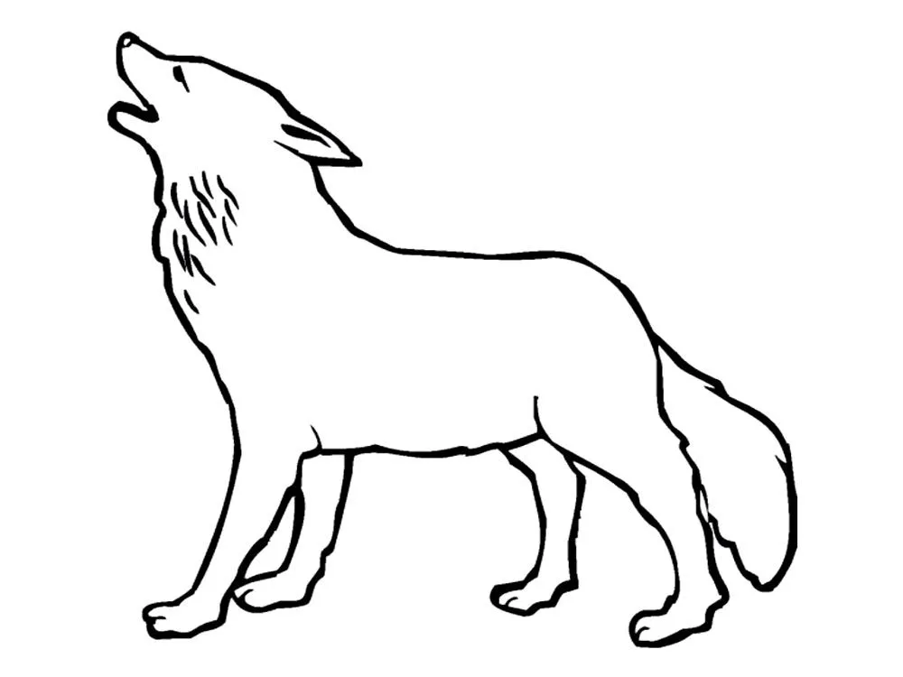 Dibujos infantiles para colorear – lobos, para desarrollar ...
