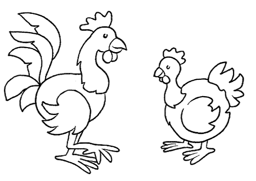 Dibujos de gallina y gallo - Imagui