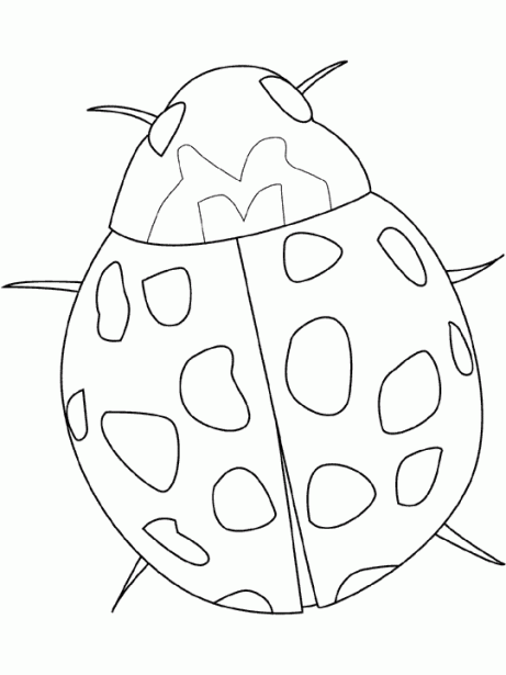 ladybug, free coloring pages | Coloring Pages