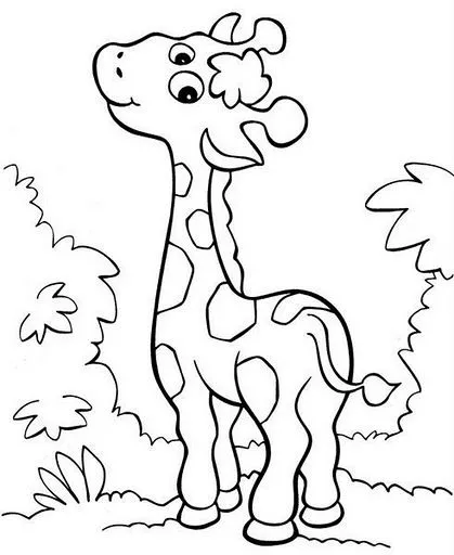 Dibujos de jirafas infantiles para colorear - Imagui
