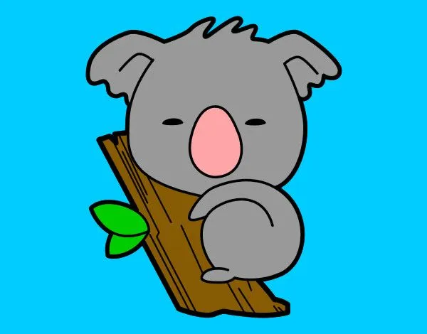 Dibujos de Koalas para Colorear - Dibujos.net