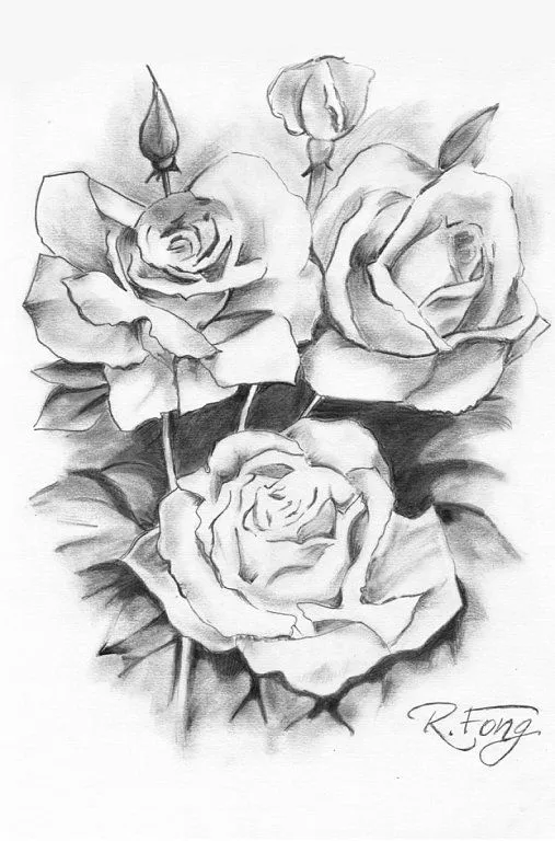 Dibujo lapiz rosas - Imagui