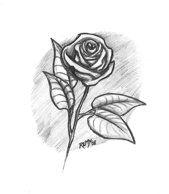 Imagenes de rosas para dibujar a lápiz fáciles - Imagui