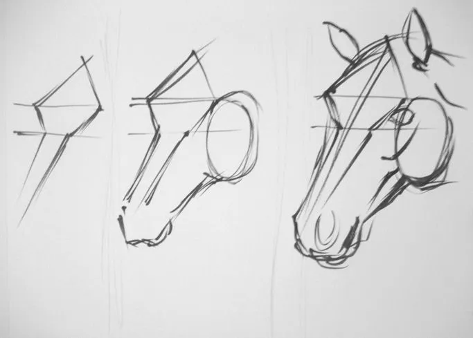 Cómo dibujar a lápiz un caballo - Dibujos a lapiz