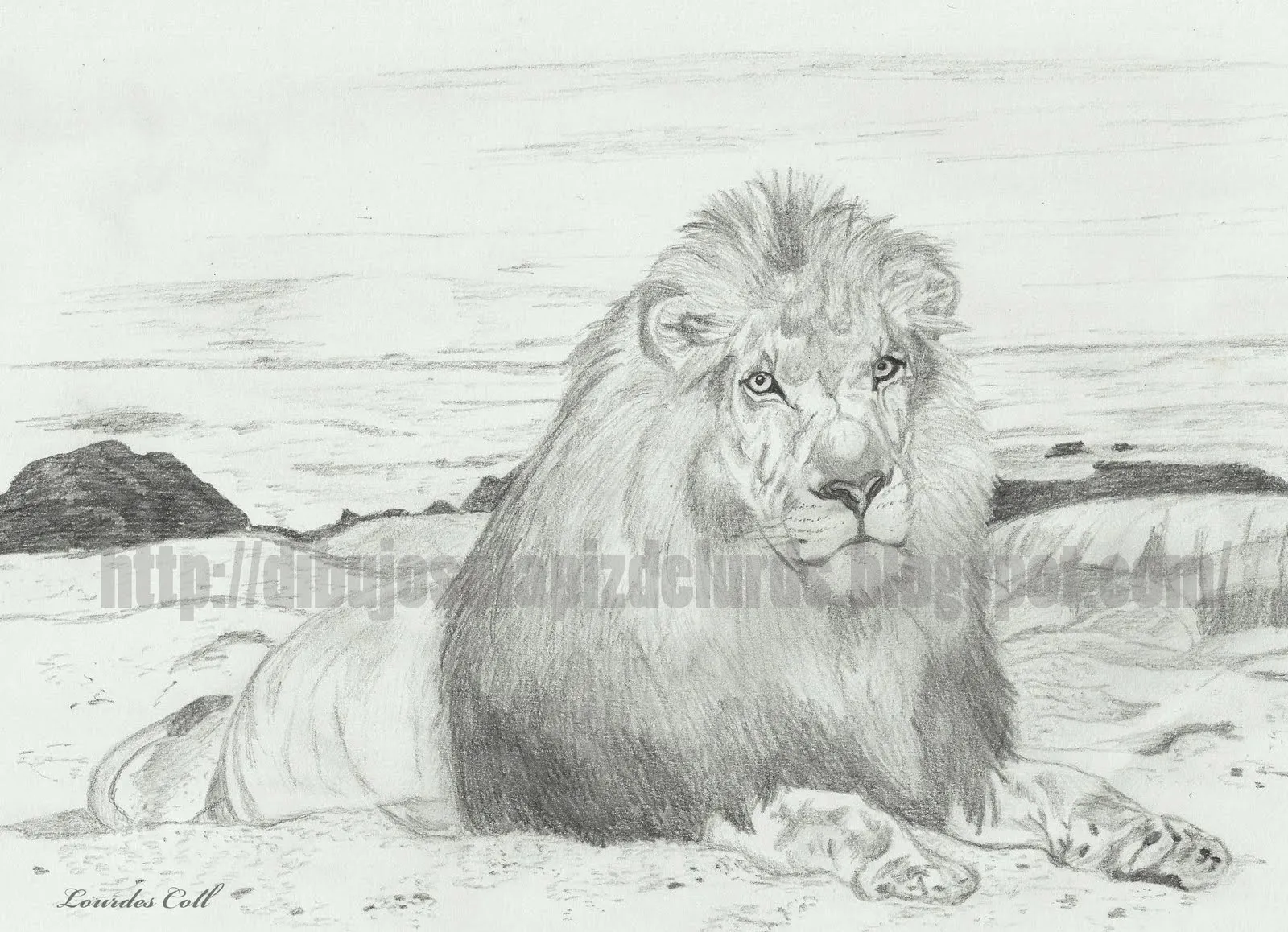 Mis dibujos a lápiz: El león