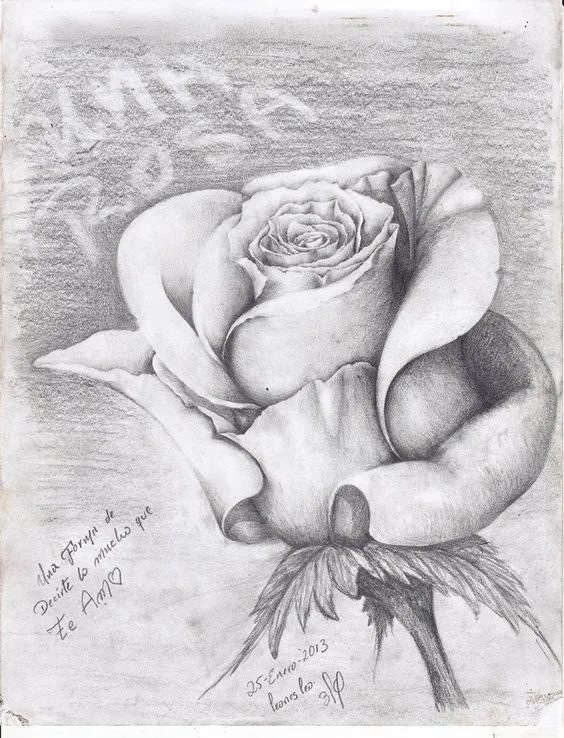 dibujos a lapiz de rosas - Buscar con Google | Dibujos | Pinterest ... dibujos a lapiz de rosas - Buscar con Google | Dibujos | Pinterest ...