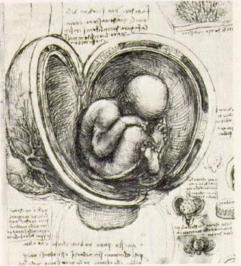 Dibujos de Leonardo da Vinci