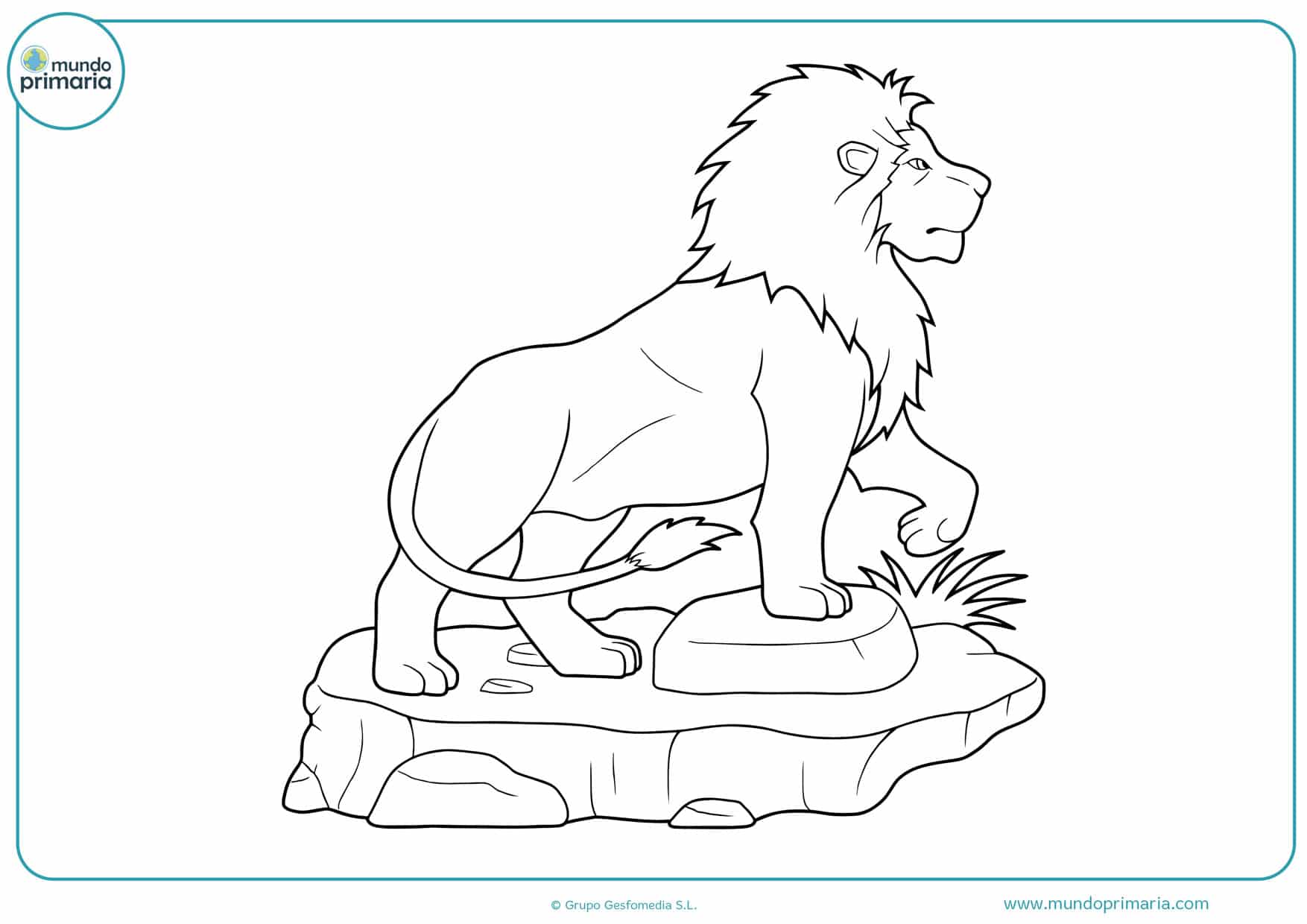 Dibujos de leones para Colorear a Lápiz o como quieras - Mundo Primaria