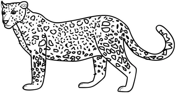 Imagen para colorear de leopardo - Imagui